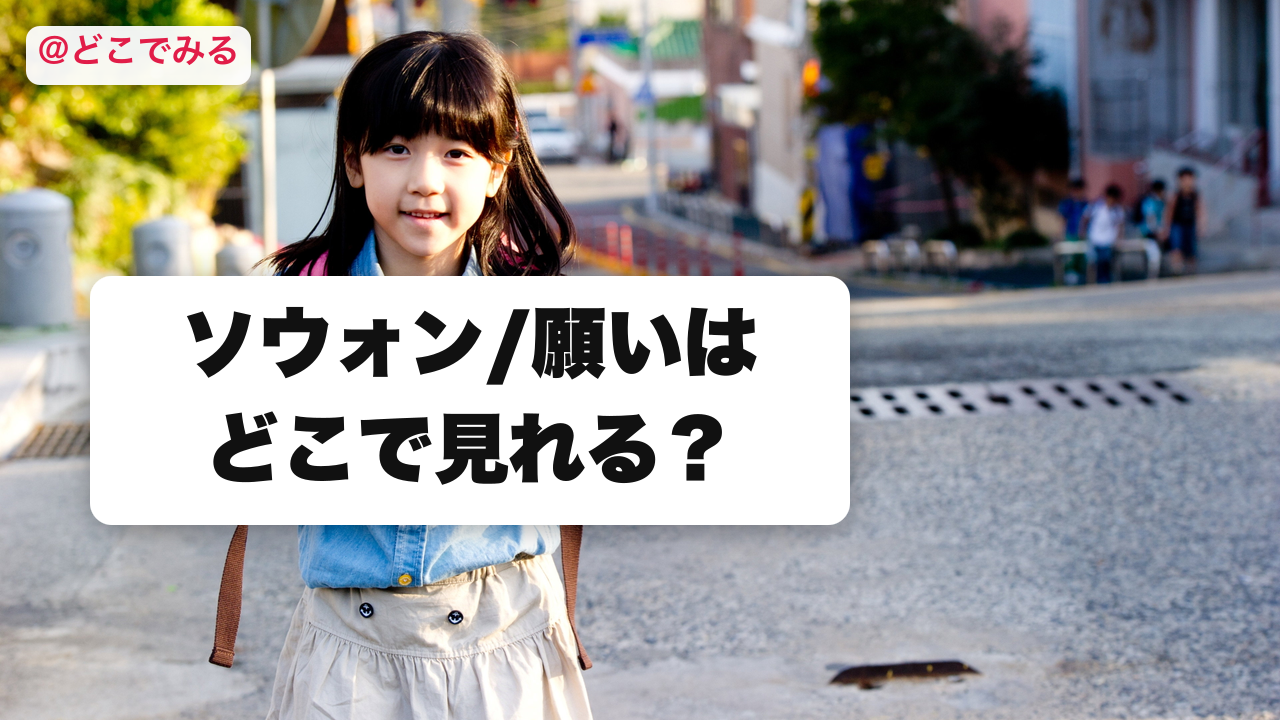 ソウォン/願いはどこで見れる？ - どこでみる