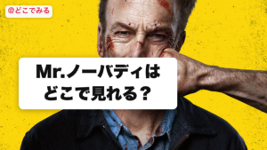 Mr.ノーバディはどこで見れる？ - どこでみる