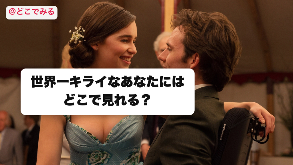 世界一キライなあなたにはどこで見れる？ - どこでみる